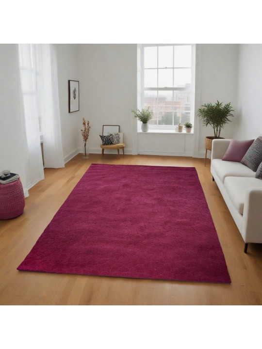 Χαλί  Shaggy Solid Burgundy  Κόκκινο 160x230cm CRP160-25